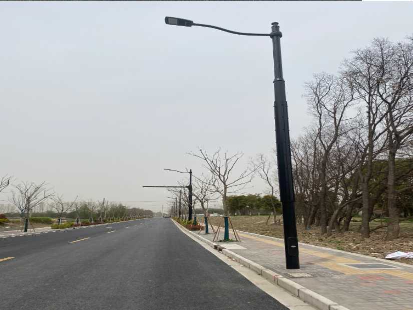 洛隆县上海综合杆 太阳能路灯工程
